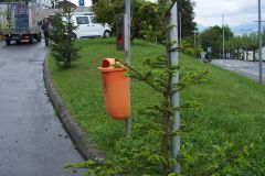 journee23-0003