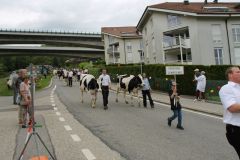 journee26-cortege-0219