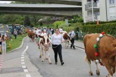 journee26-cortege-0221