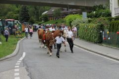 journee26-cortege-0222
