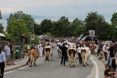 journee26-cortege-0224