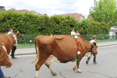 journee26-cortege-0225