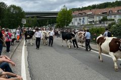 journee26-cortege-0265