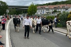journee26-cortege-0266