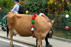 journee26-cortege-0267
