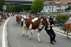 journee26-cortege-0268